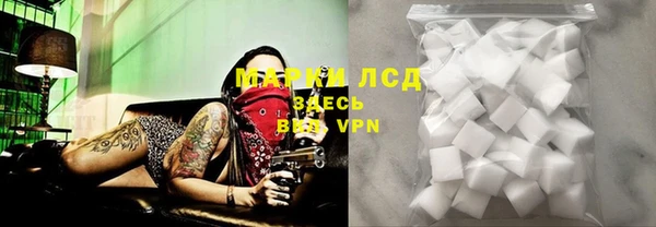 мяу мяу мука Белокуриха