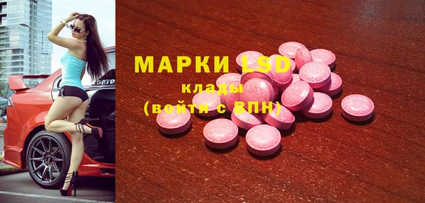 индика Карталы