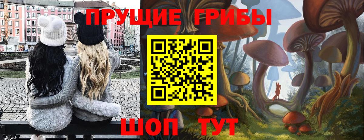 Кизилюрт  Псилоцибиновые грибы Cubensis  сколько стоит  Вход с VPN  Галлюциногенные грибы GOLDEN TEACHER 