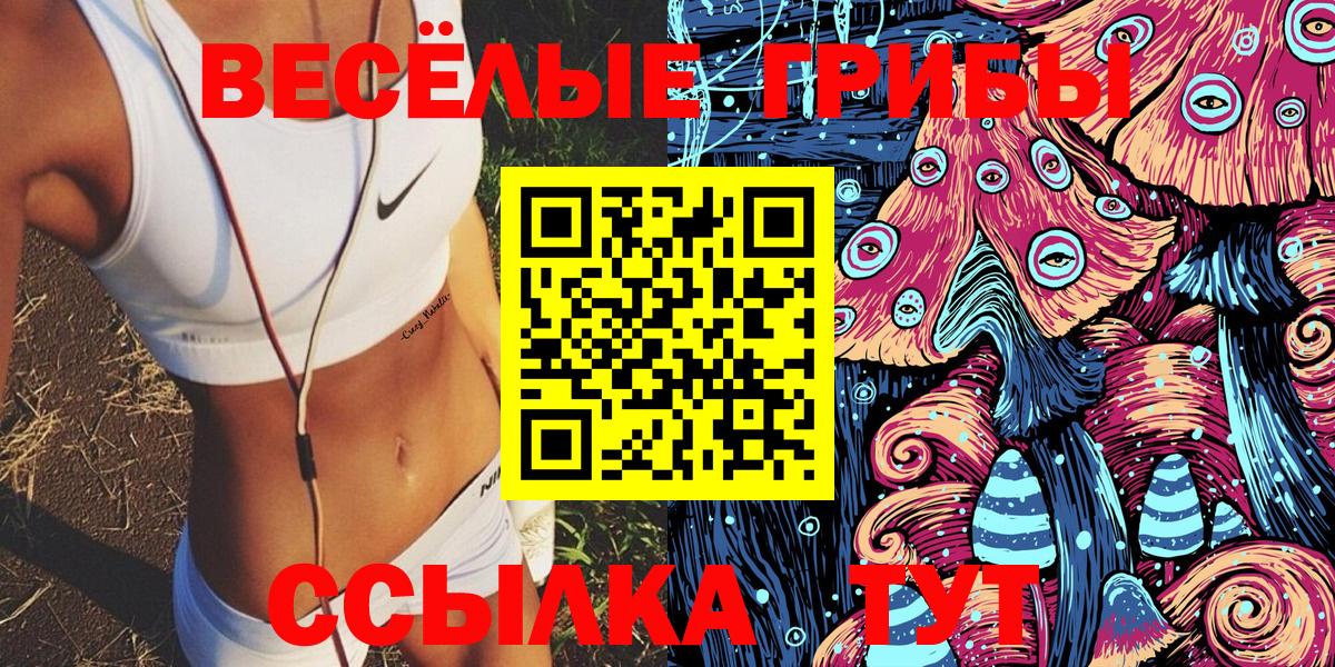 Галлюциногенные грибы Psilocybe Кизилюрт